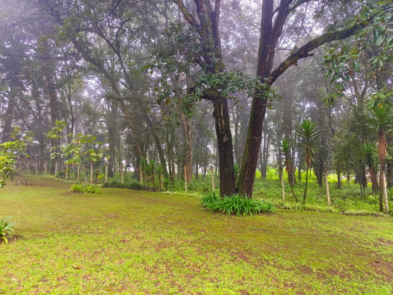 San Lucas Sacatepéquez-Terreno de 1 manzana Cerca de Cerro Alux